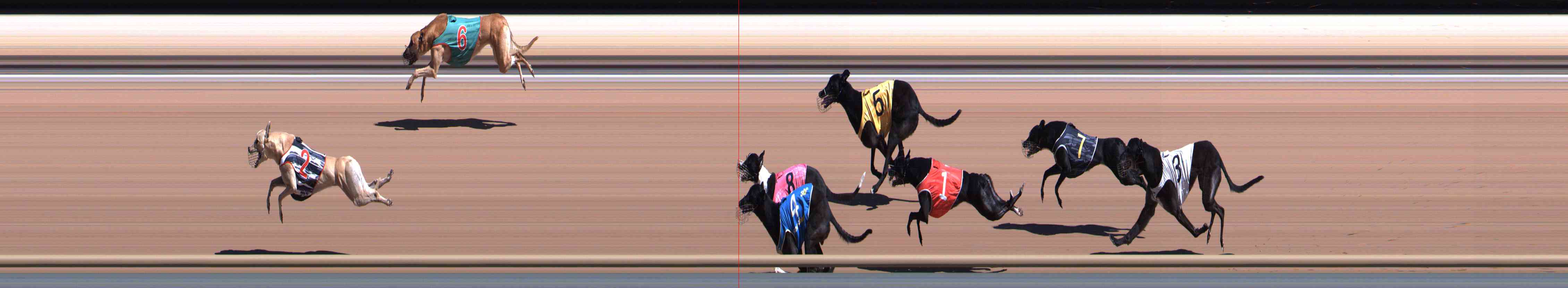 Photo finish for Healesville Race 4