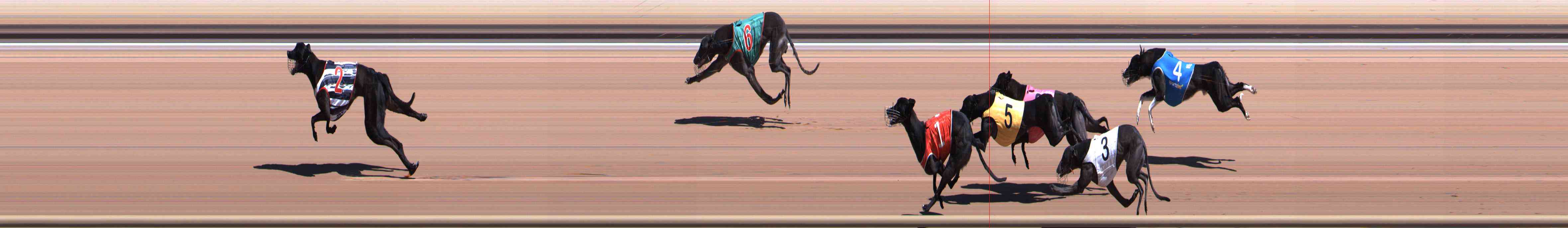 Photo finish for Healesville Race 5