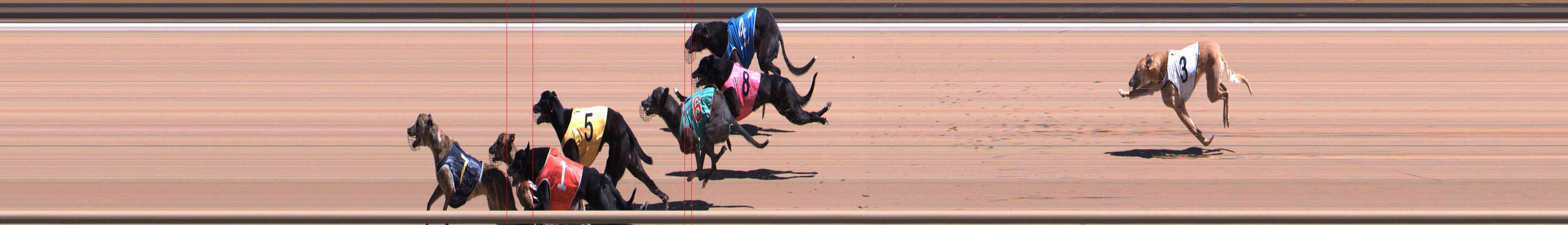 Photo finish for Healesville Race 7