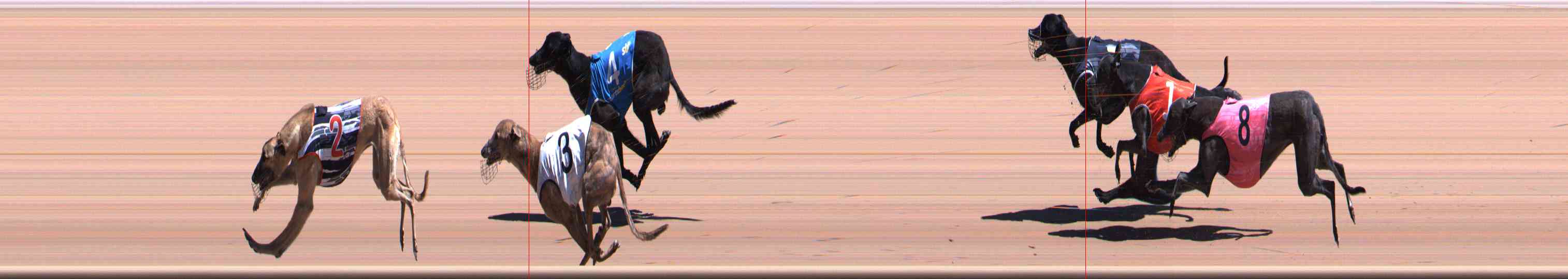 Photo finish for Healesville Race 8