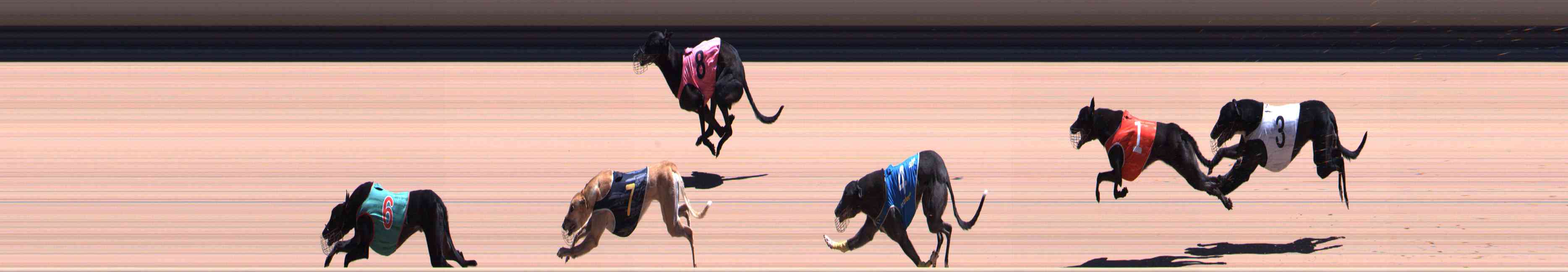Photo finish for Healesville Race 10