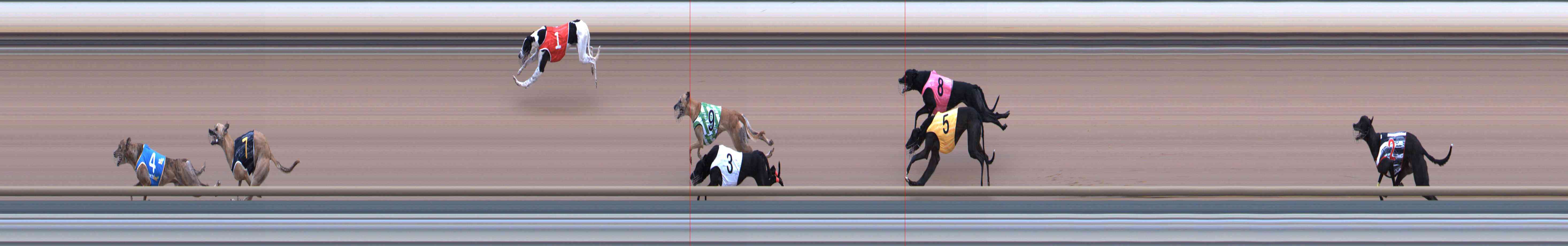 Photo finish for Healesville Race 3
