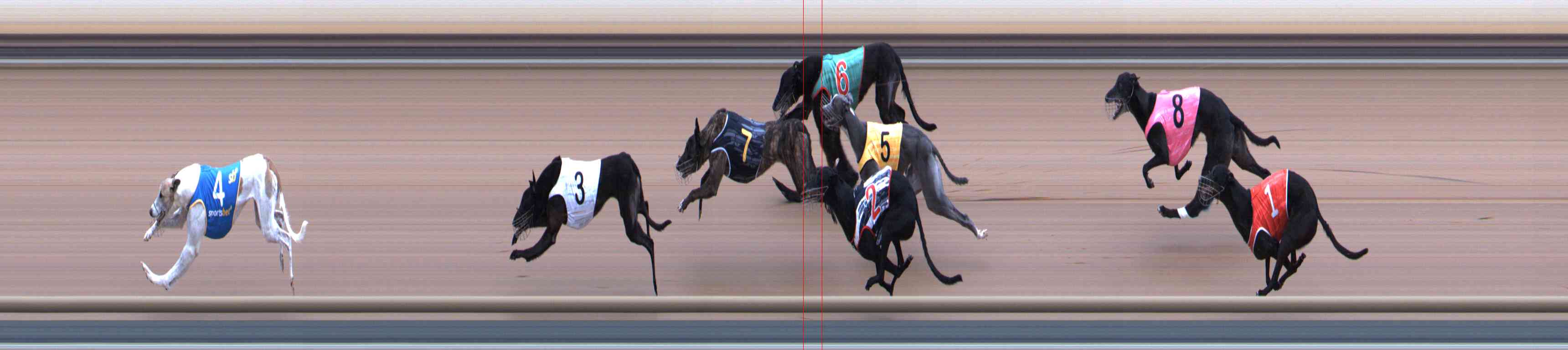 Photo finish for Healesville Race 4