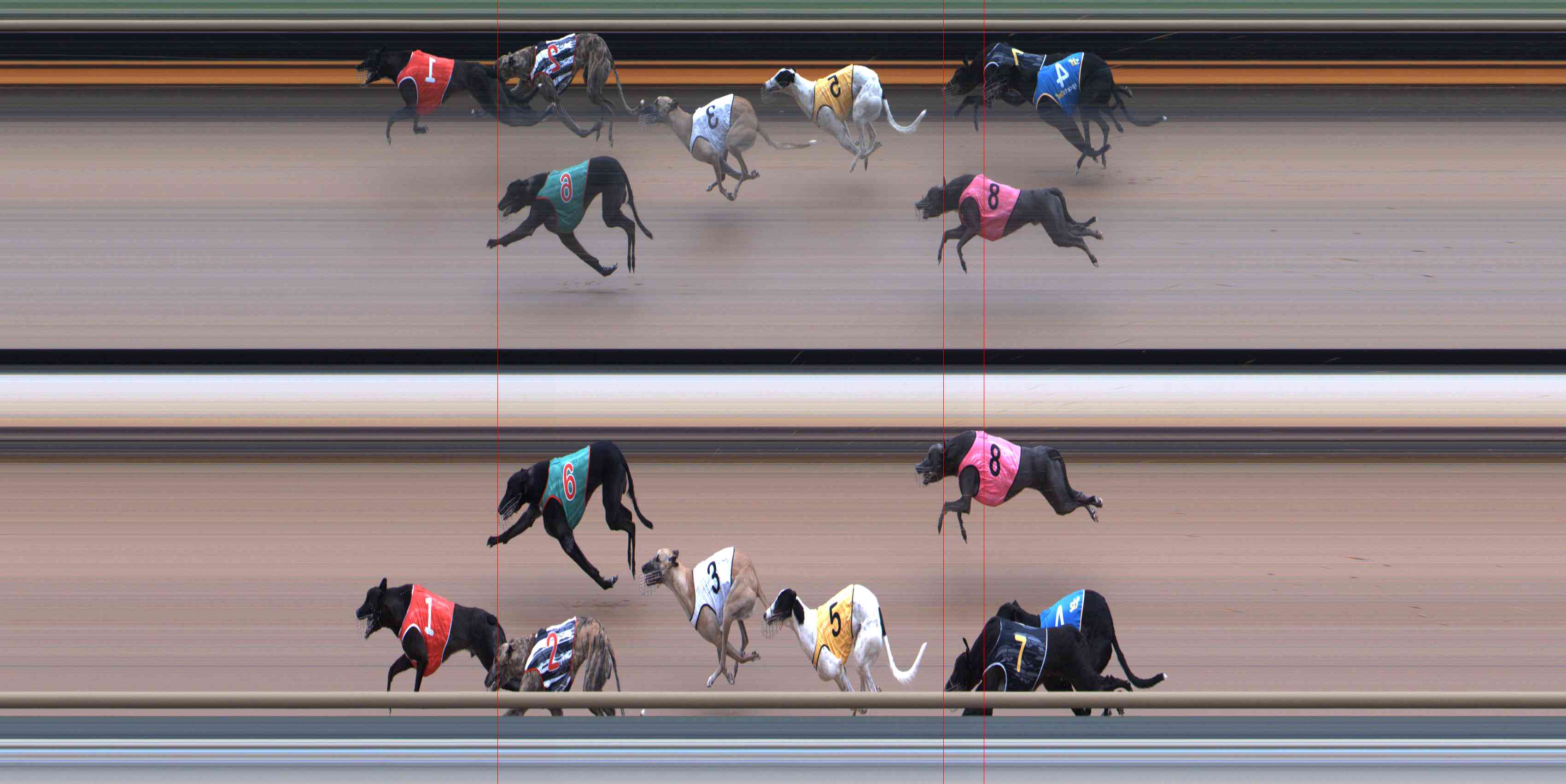 Photo finish for Healesville Race 5