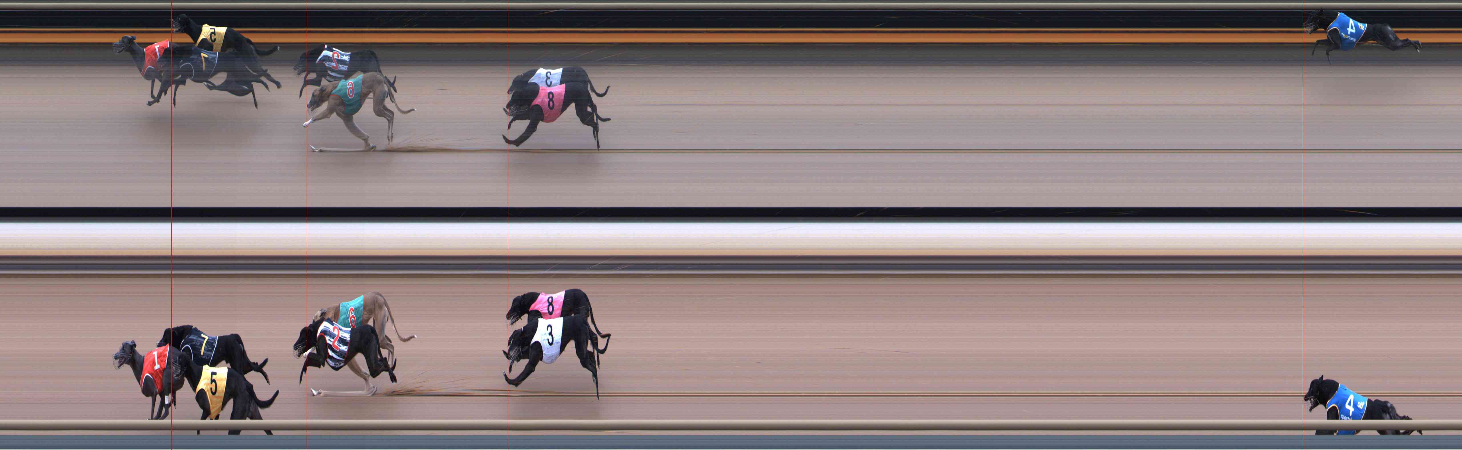 Photo finish for Healesville Race 6