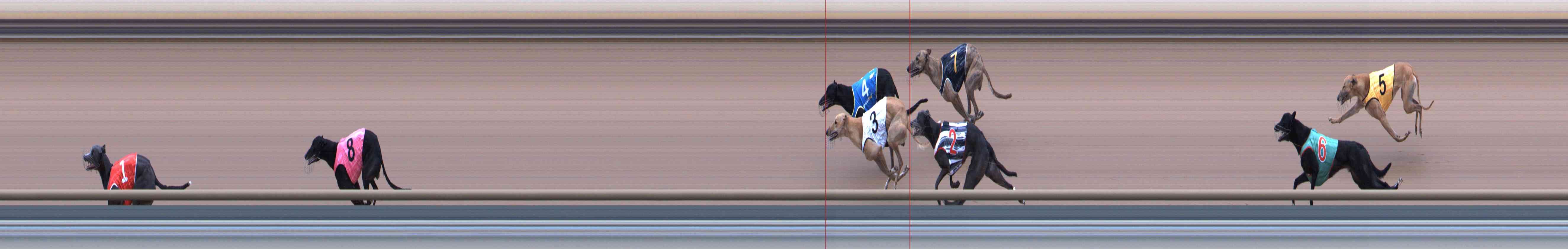 Photo finish for Healesville Race 8