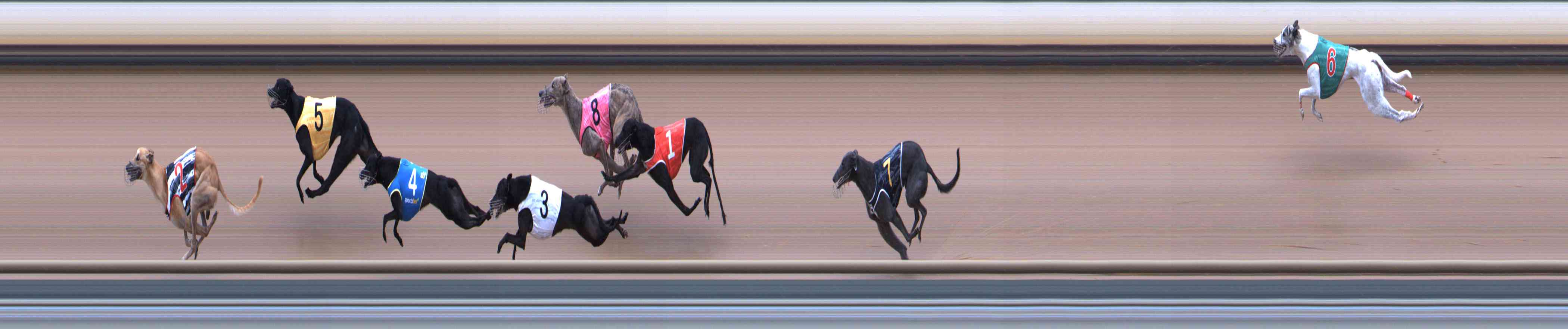 Photo finish for Healesville Race 9
