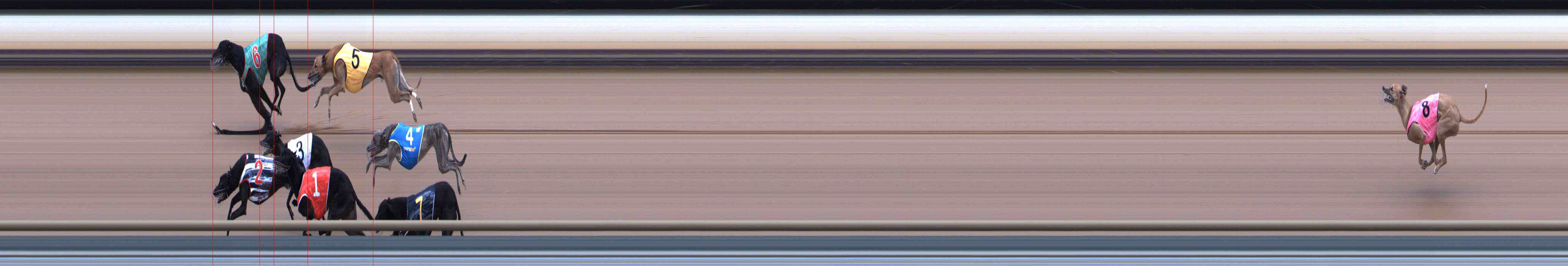 Photo finish for Healesville Race 10