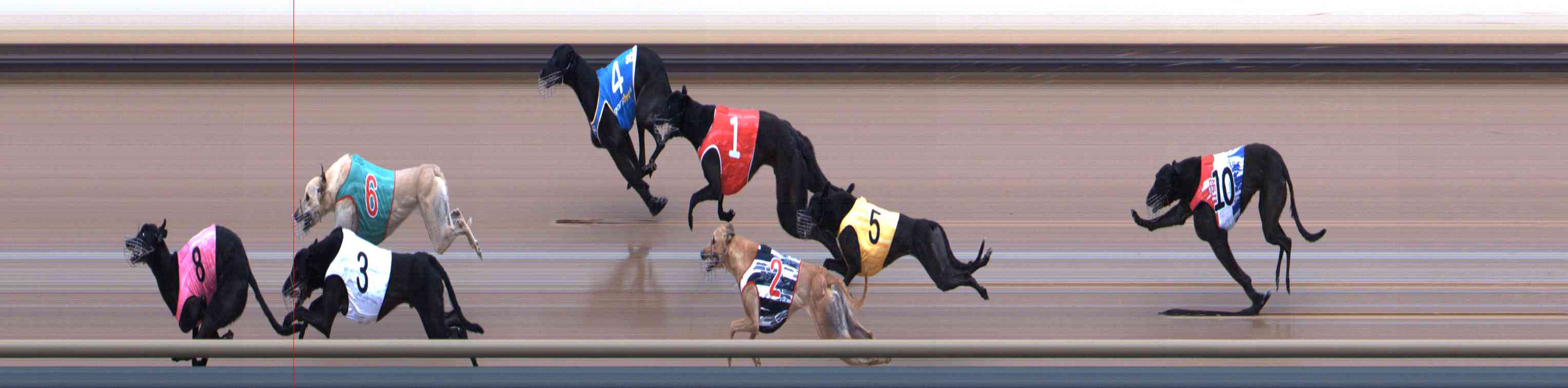 Photo finish for Healesville Race 11