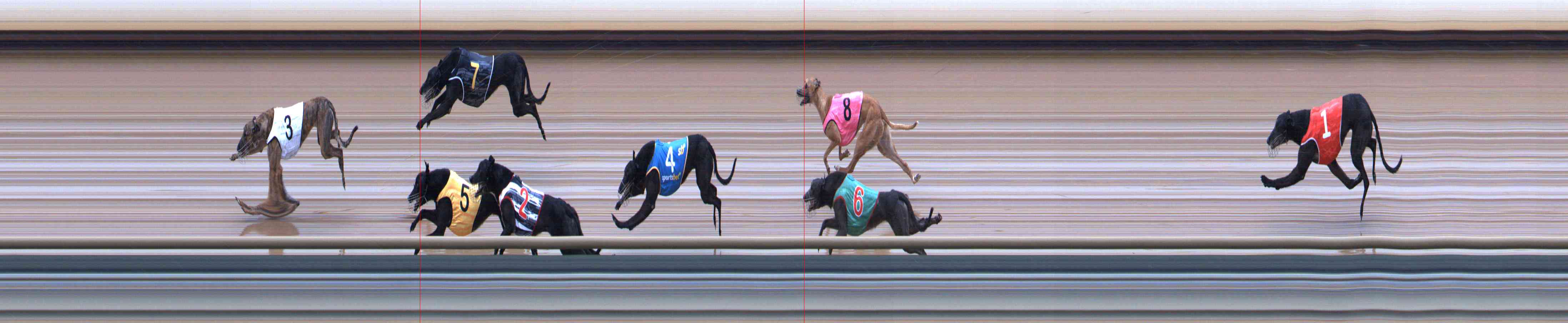 Photo finish for Healesville Race 12