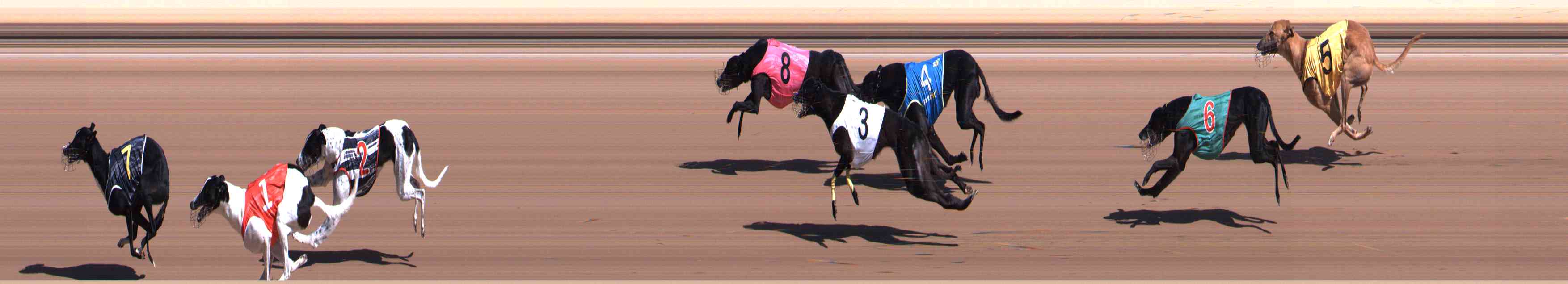 Photo finish for Healesville Race 2