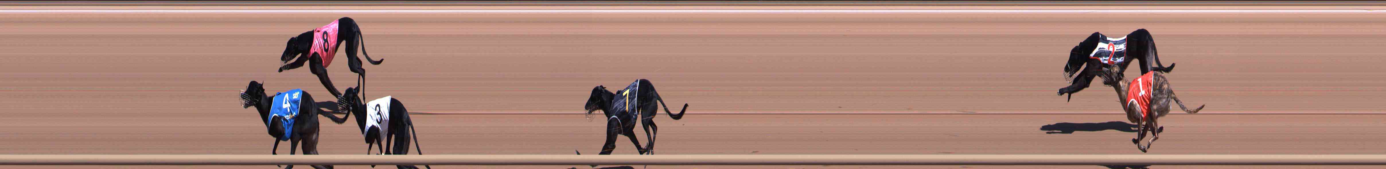 Photo finish for Healesville Race 3