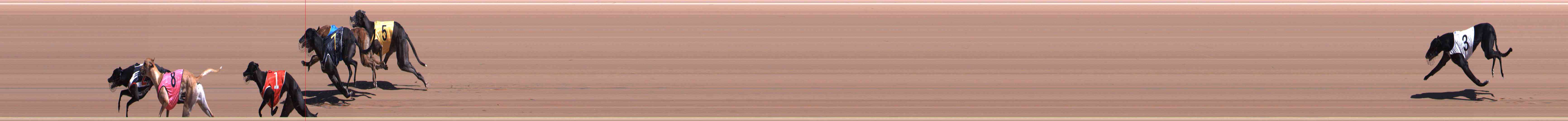 Photo finish for Healesville Race 4