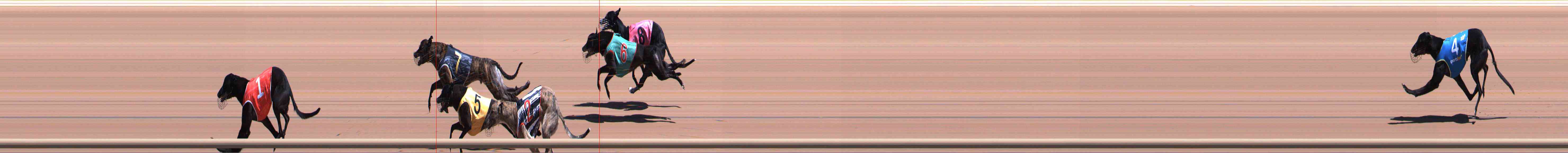 Photo finish for Healesville Race 6