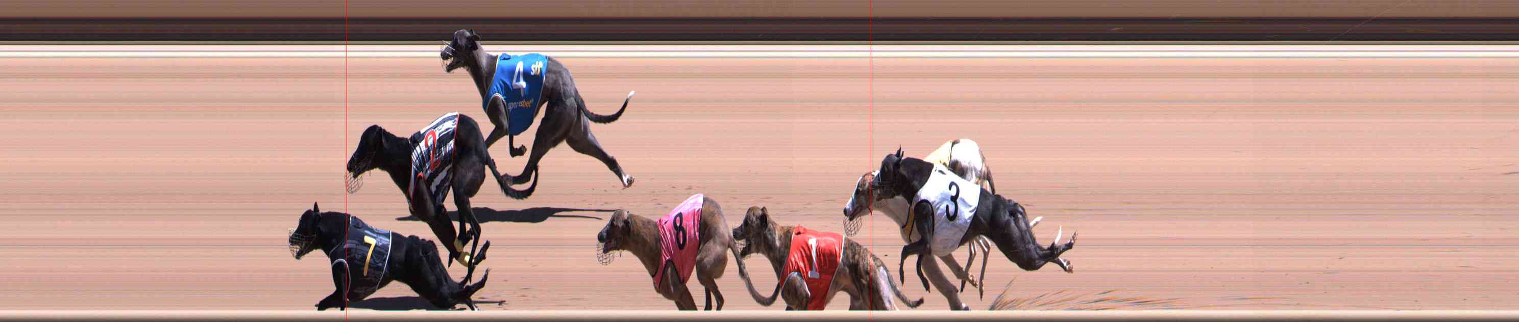 Photo finish for Healesville Race 8
