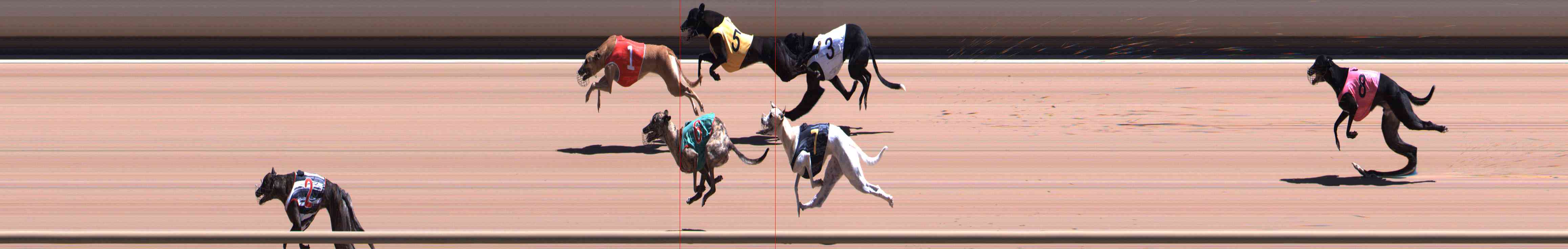 Photo finish for Healesville Race 9