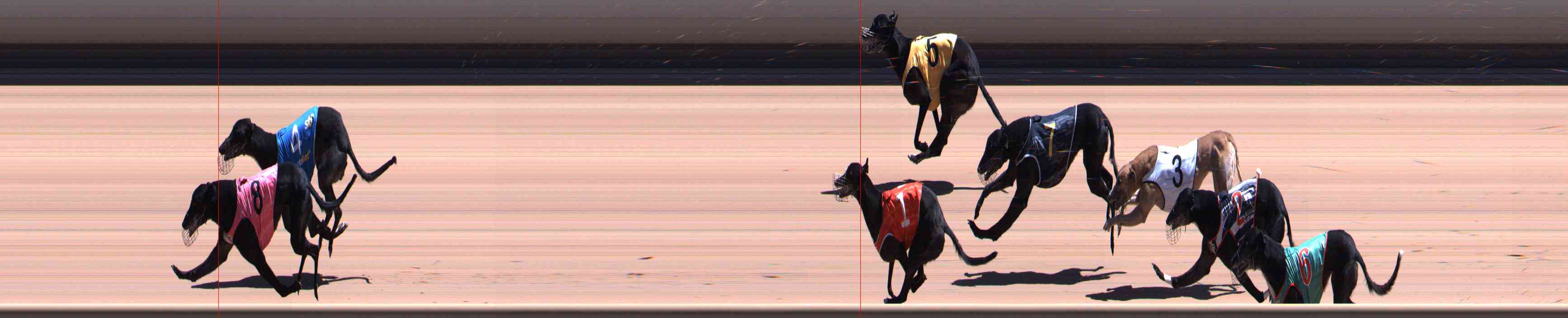 Photo finish for Healesville Race 10