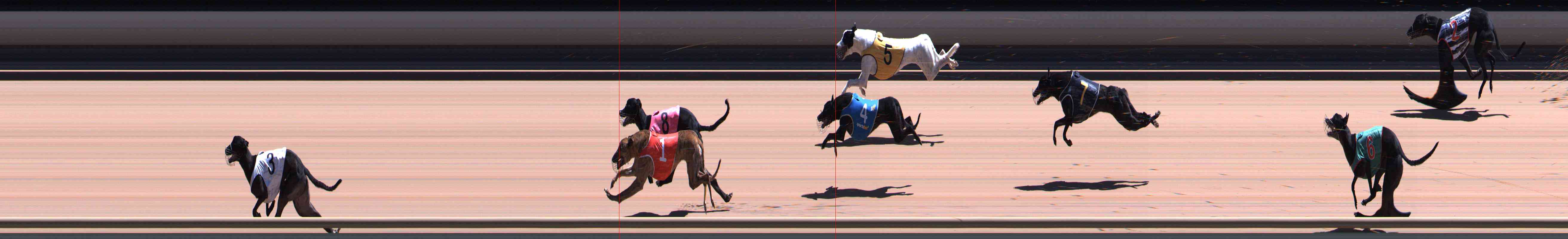 Photo finish for Healesville Race 11