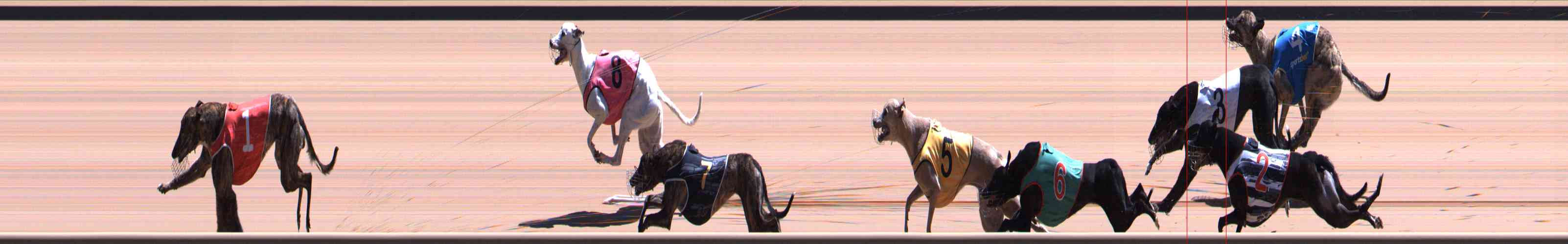 Photo finish for Healesville Race 12