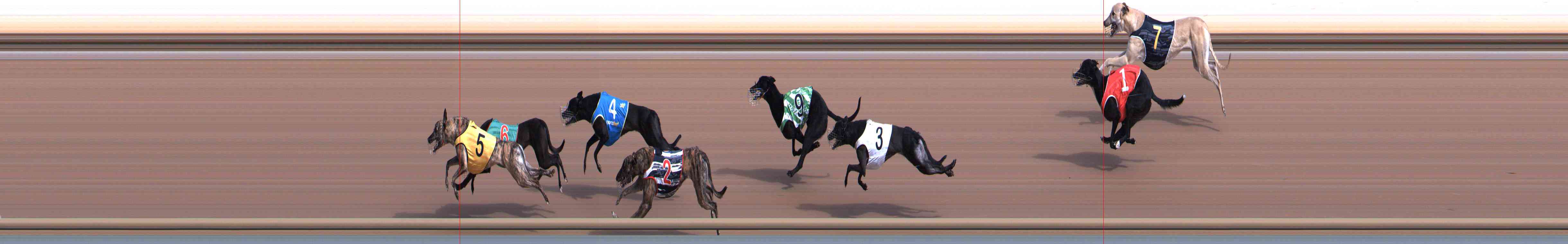 Photo finish for Healesville Race 1