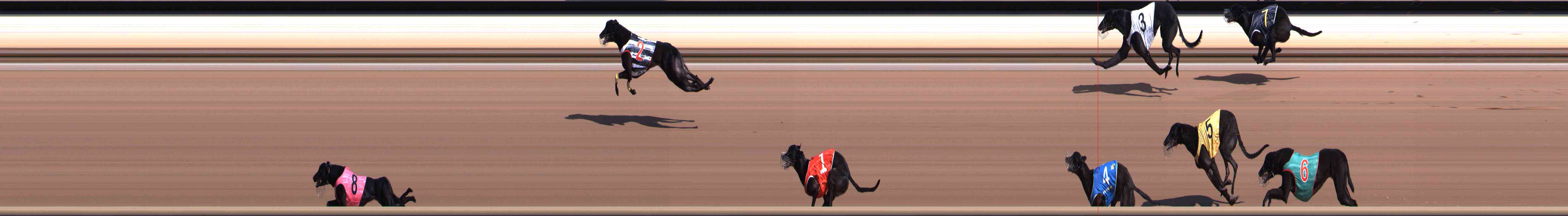 Photo finish for Healesville Race 2
