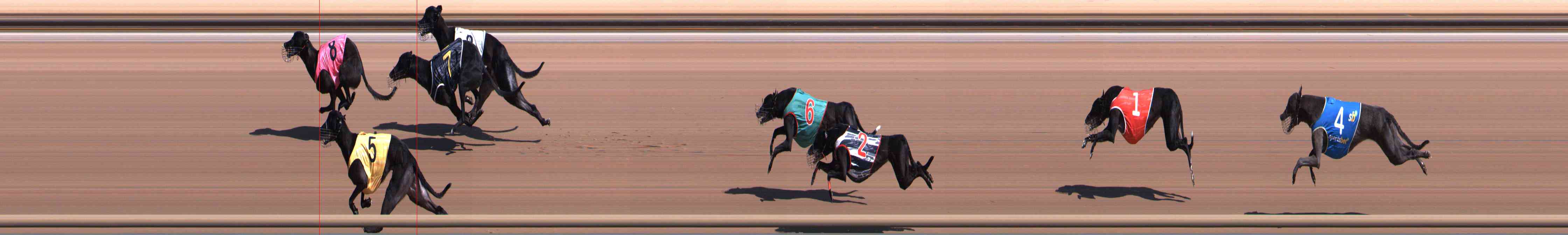 Photo finish for Healesville Race 3