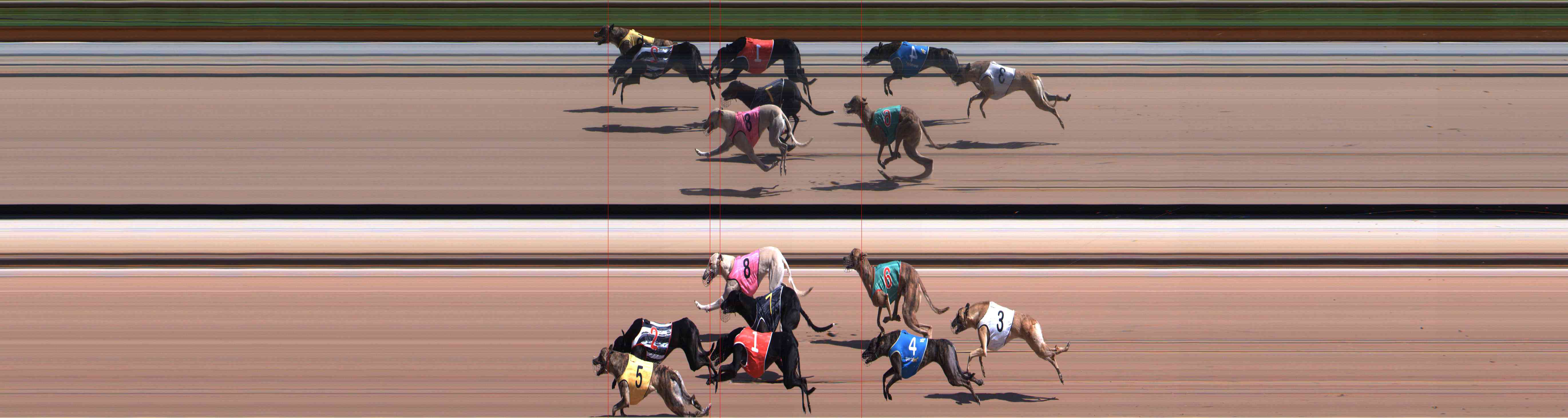 Photo finish for Healesville Race 4