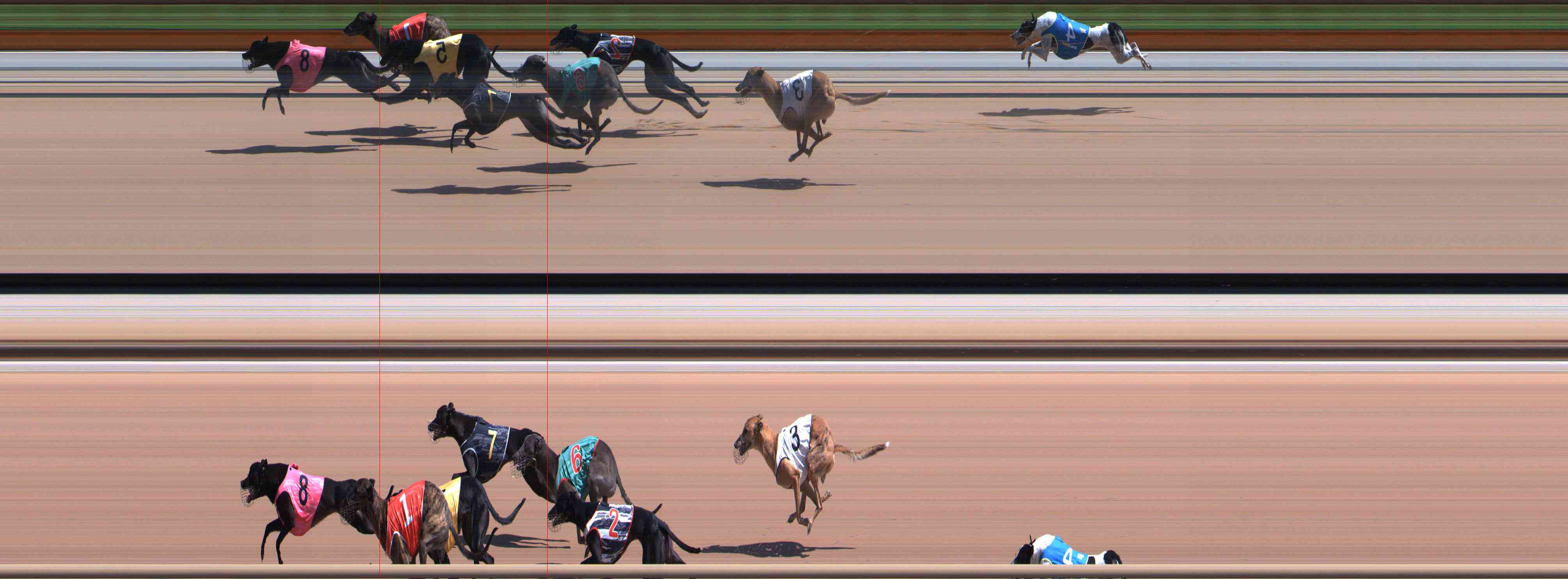Photo finish for Healesville Race 5