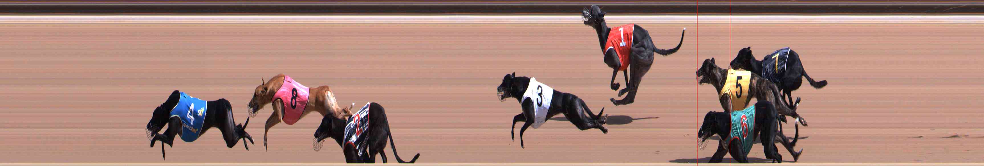 Photo finish for Healesville Race 6