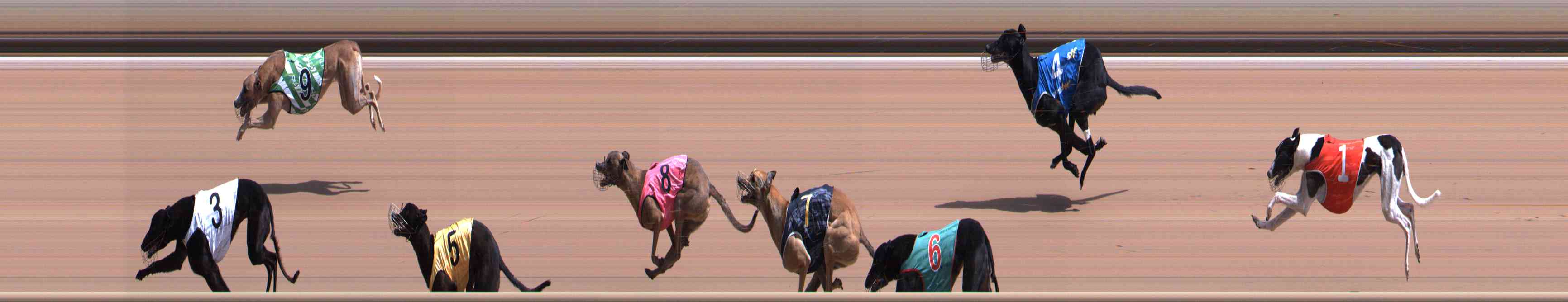 Photo finish for Healesville Race 7