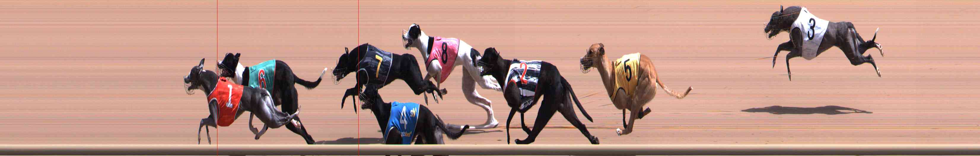 Photo finish for Healesville Race 8