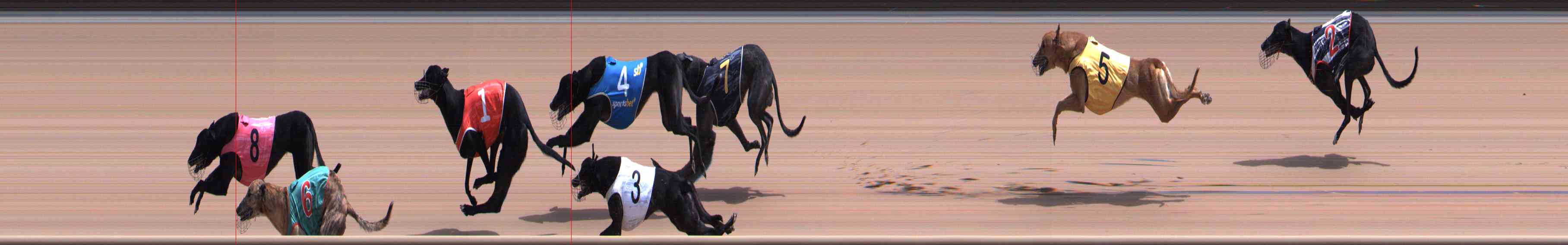 Photo finish for Healesville Race 9