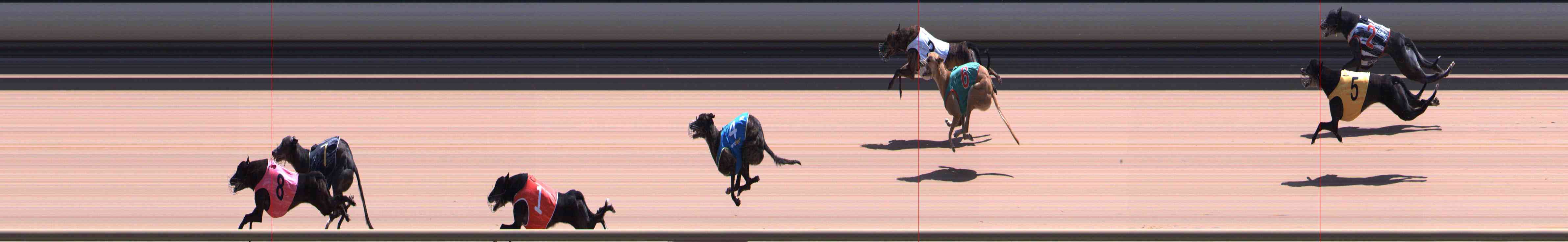 Photo finish for Healesville Race 12