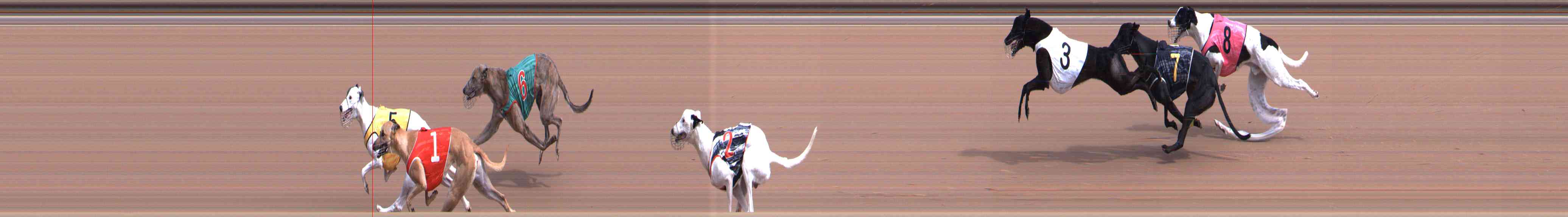 Photo finish for Healesville Race 1