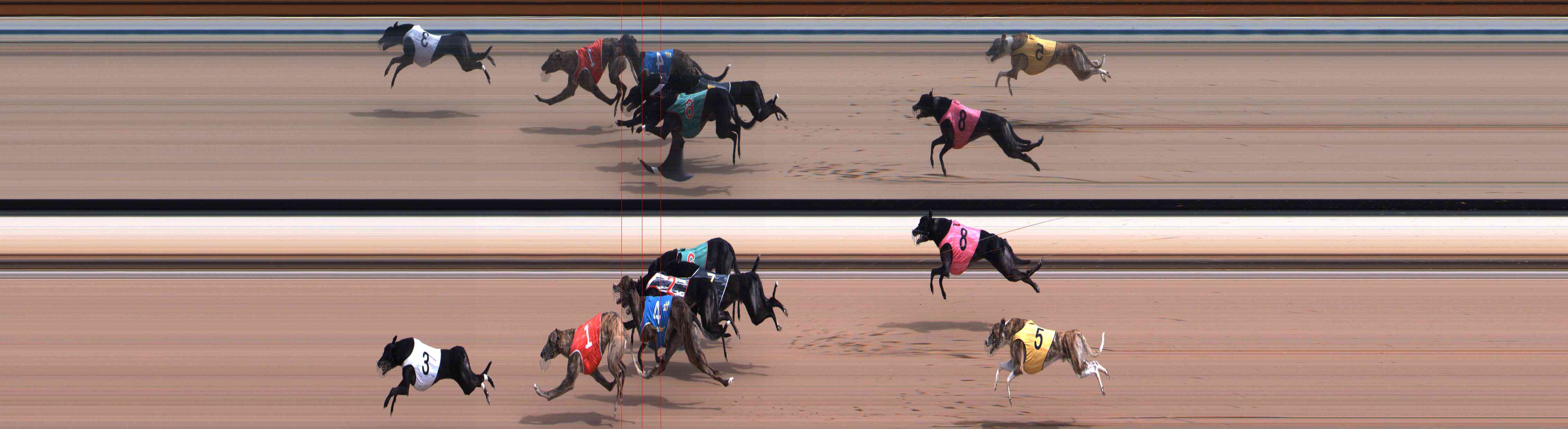 Photo finish for Healesville Race 2