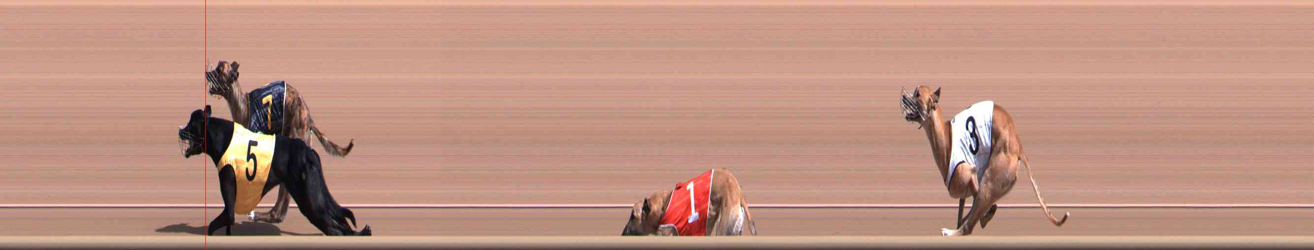 Photo finish for Healesville Race 3