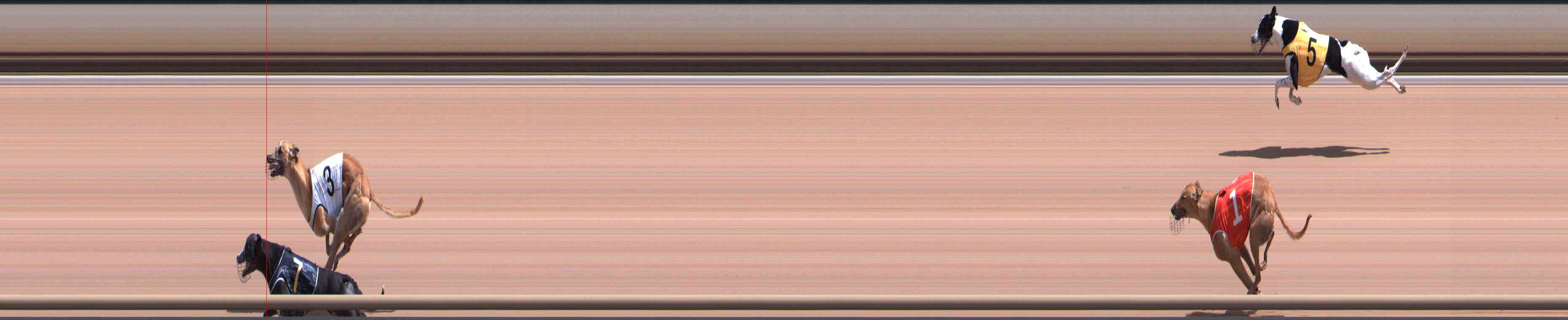 Photo finish for Healesville Race 6