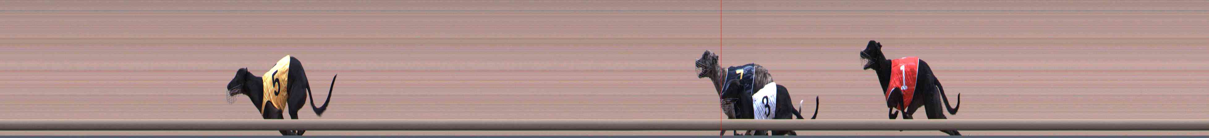 Photo finish for Healesville Race 8