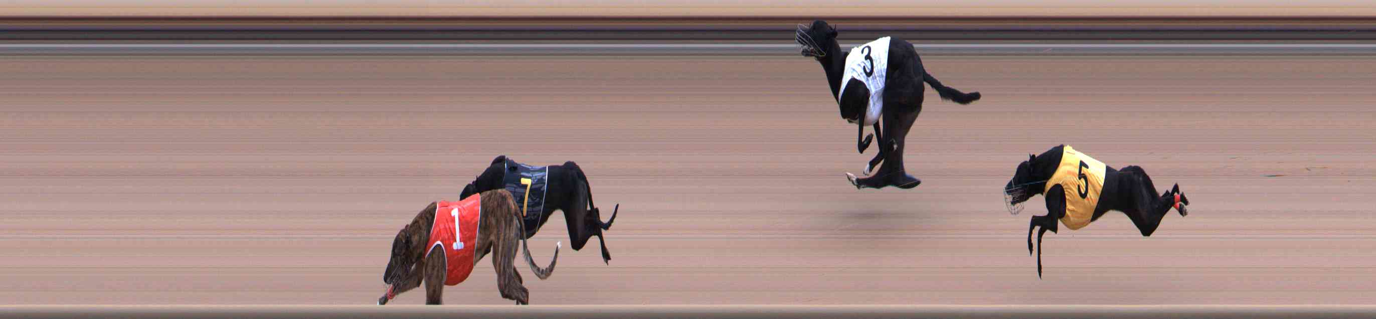 Photo finish for Healesville Race 10