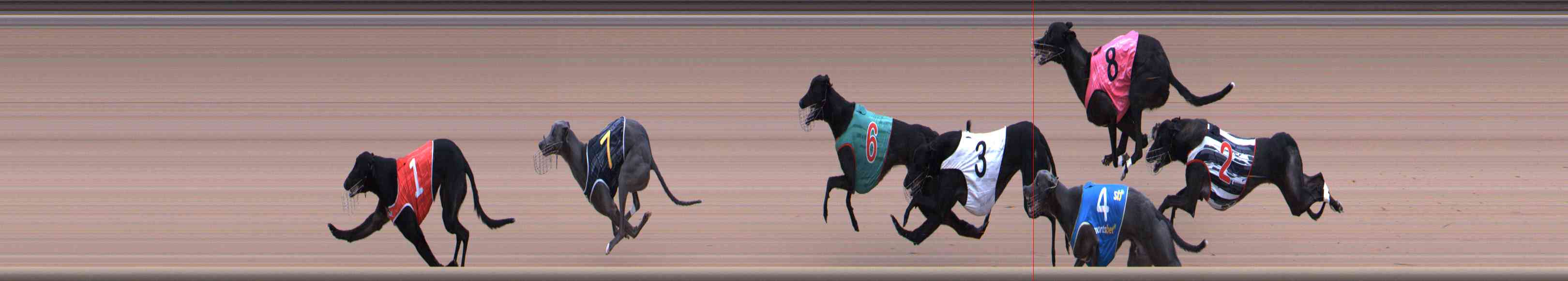 Photo finish for Healesville Race 11