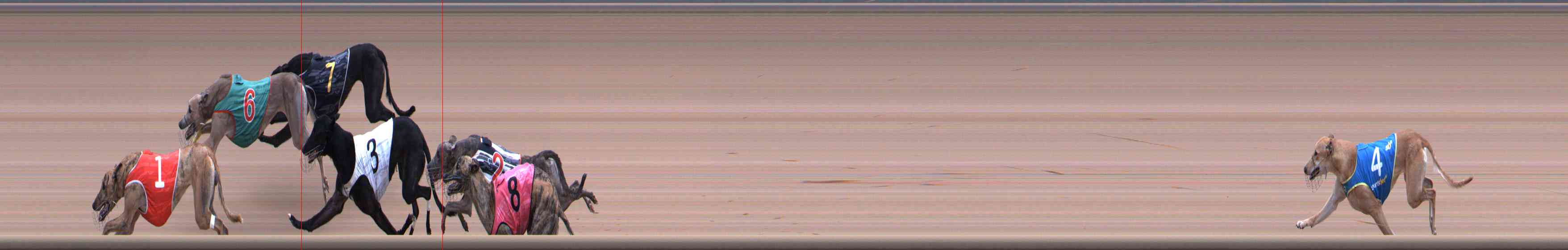 Photo finish for Healesville Race 12