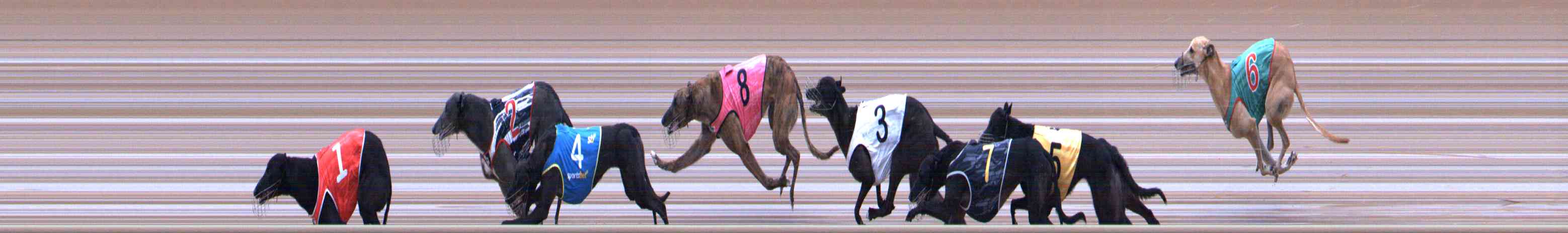 Photo finish for Healesville Race 3