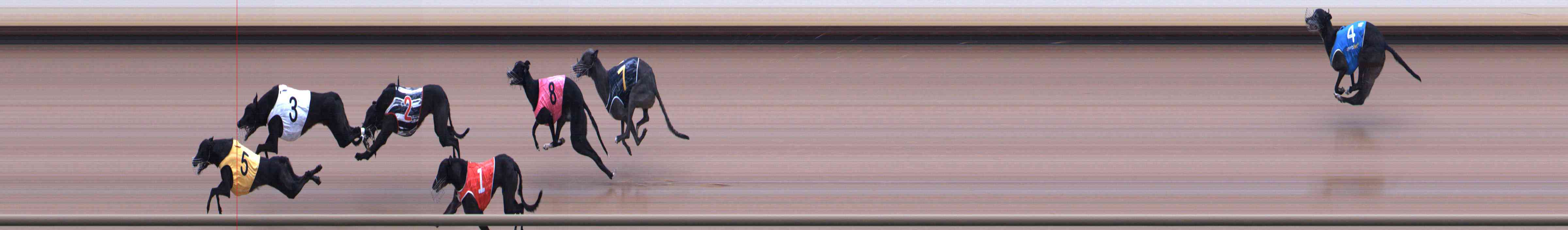 Photo finish for Healesville Race 4