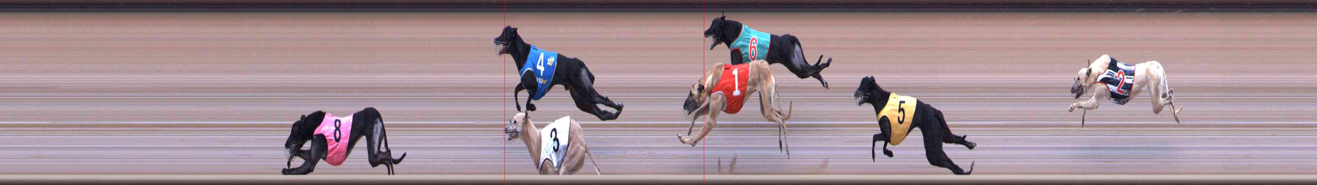 Photo finish for Healesville Race 5