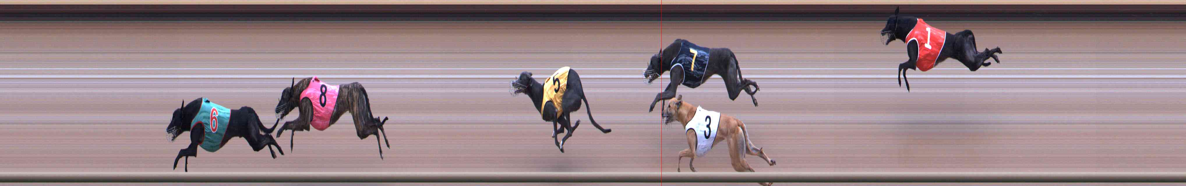 Photo finish for Healesville Race 6