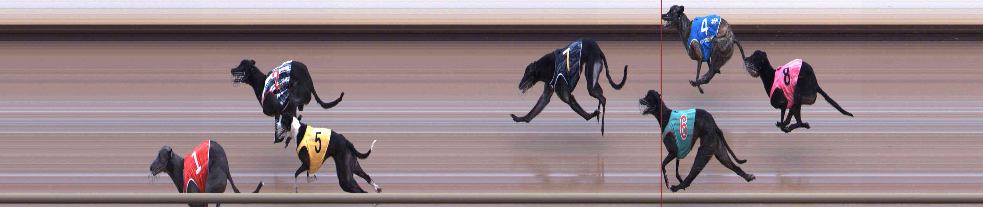Photo finish for Healesville Race 7