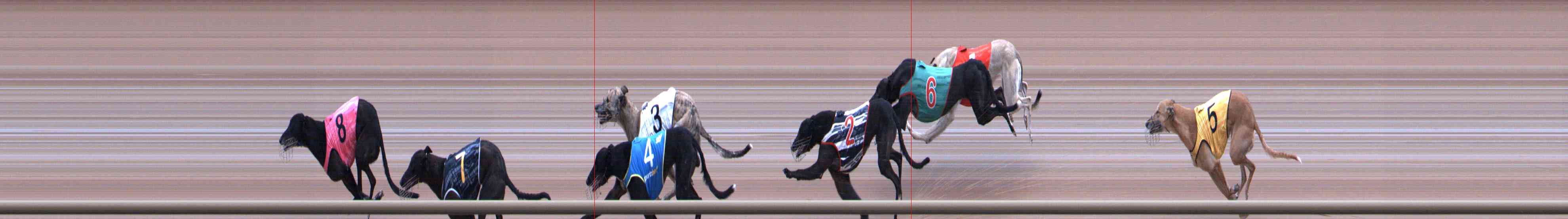 Photo finish for Healesville Race 8