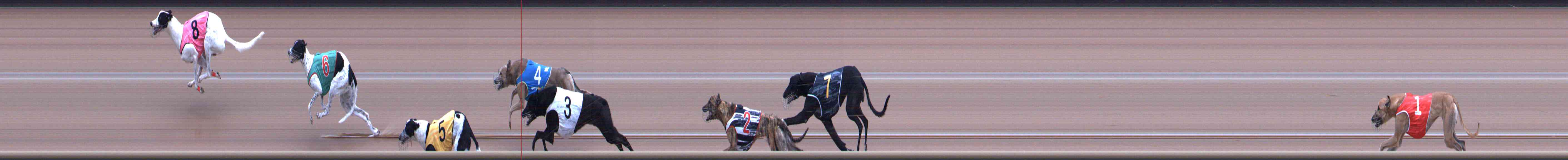 Photo finish for Healesville Race 9