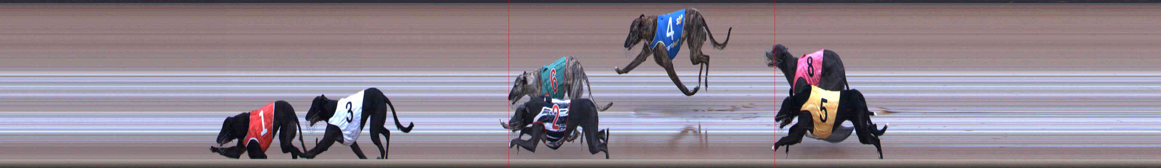 Photo finish for Healesville Race 11