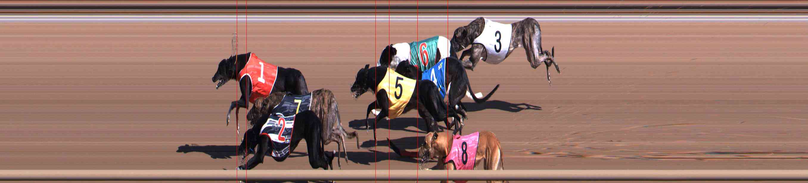 Photo finish for Healesville Race 2